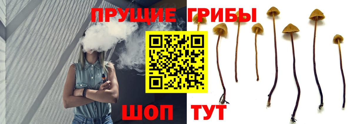 Псилоцибиновые грибы прущие грибы  Вход с VPN  купить наркотики сайты  Елизово 
